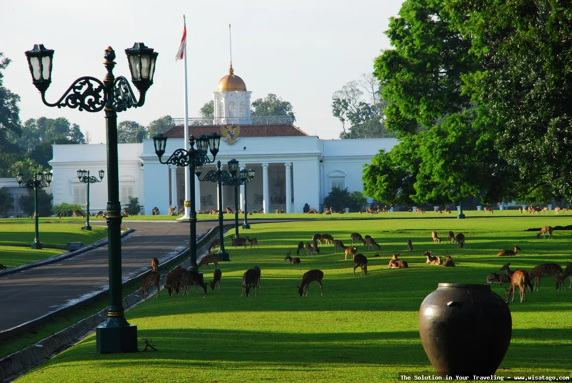 Istana Bogor: bangunan bersejarah megah