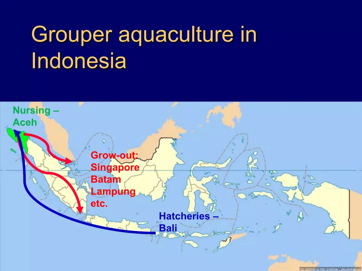 Jalur Sungai Kerapu yang menantang.