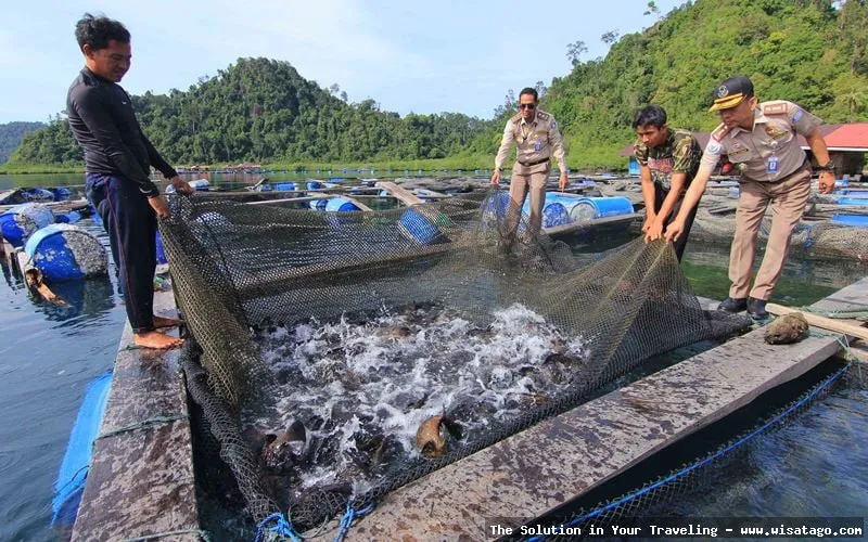 Jalur Sungai Kerapu yang menantang.