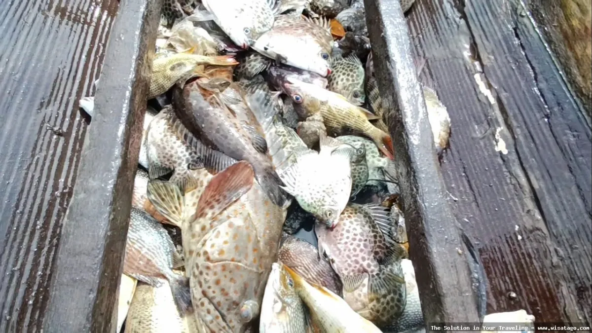 Jalur Sungai Kerapu yang menantang.