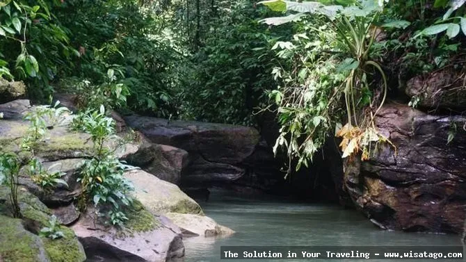 Jalur Sungai Kerapu yang menantang.