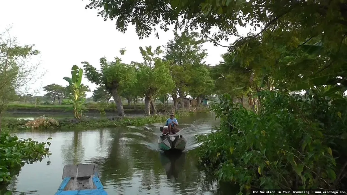Jalur Tambak Sungai Jaya yang indah
