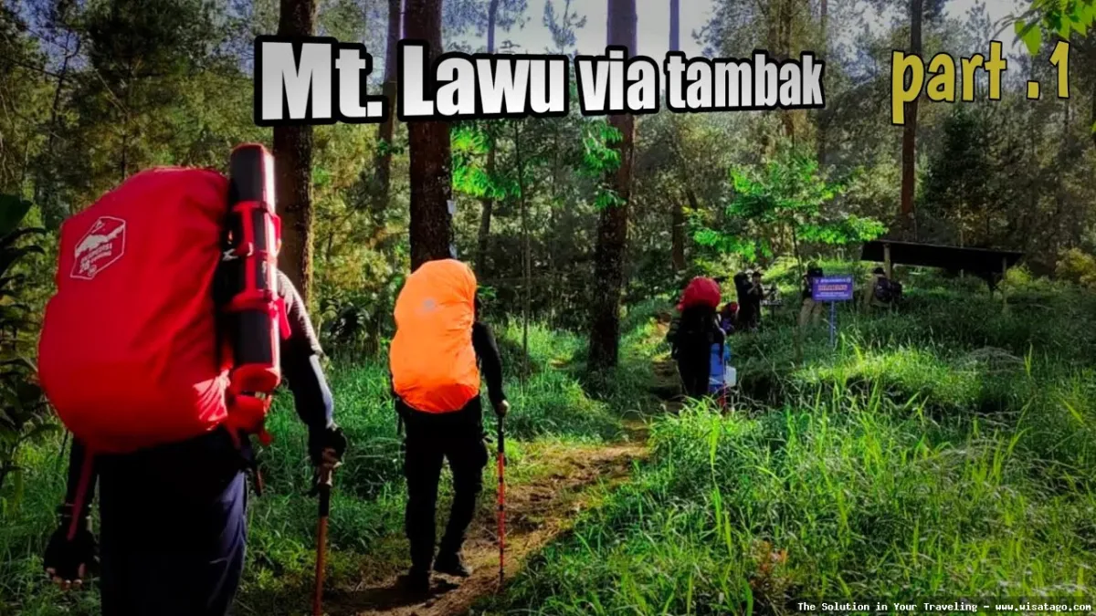 Jalur Tambak Sungai Jaya mempesona.
