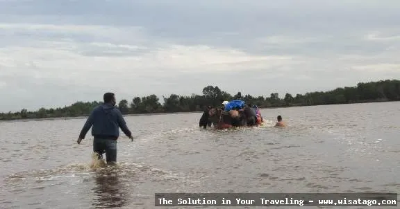 Jalur Tambak Sungai Jaya yang indah