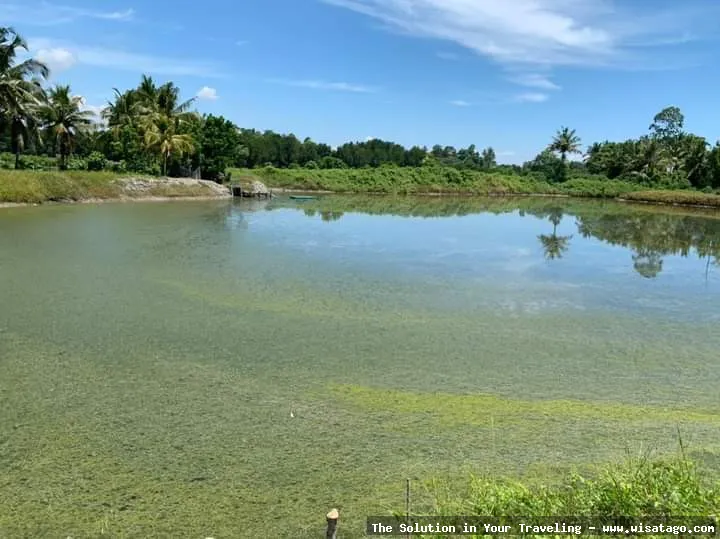 Jalur Tambak Sungai Jaya yang indah