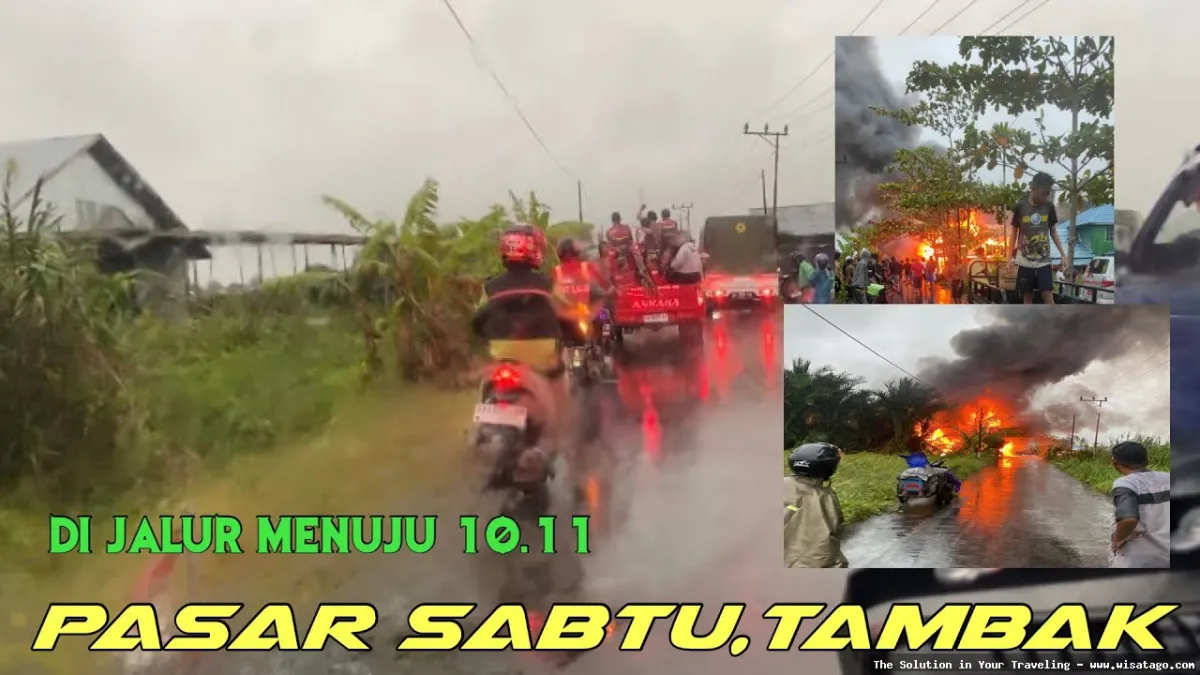 Jalur Tambak Sungai Jaya yang asri