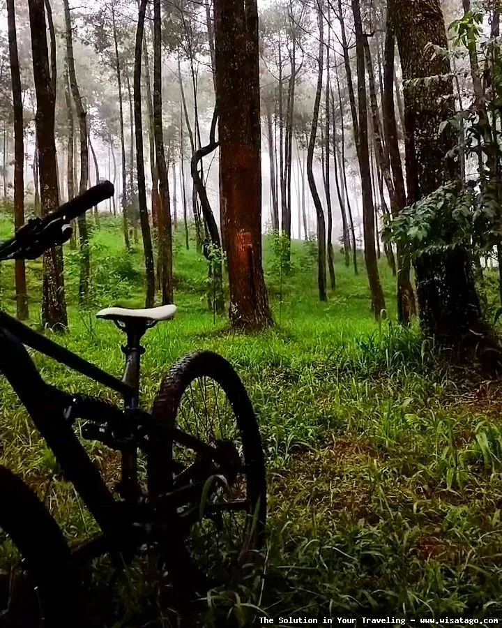 Kampoeng Goenoeng, suasana pedesaan asri