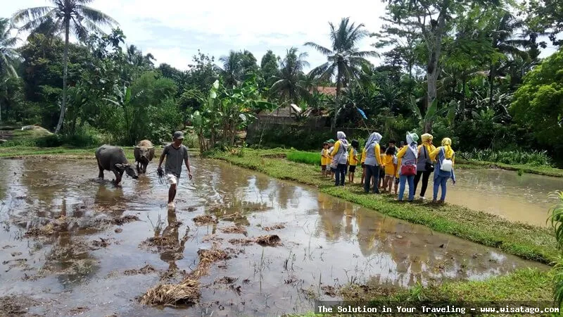 Kampung Wisata Cinangneng, suasana pedesaan