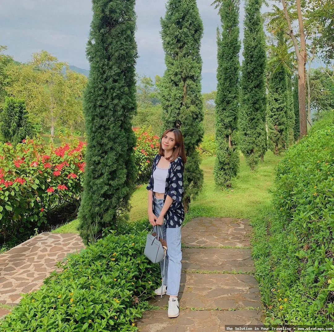 Kebun Mawar Situhapa, hamparan bunga indah