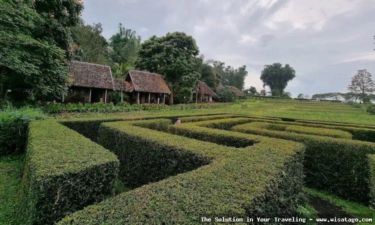Kebun Mawar Situhapa, taman bunga indah