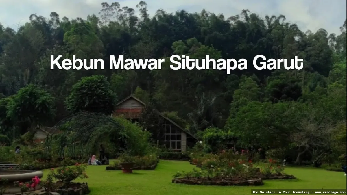 Kebun Mawar Situhapa: hamparan bunga mawar