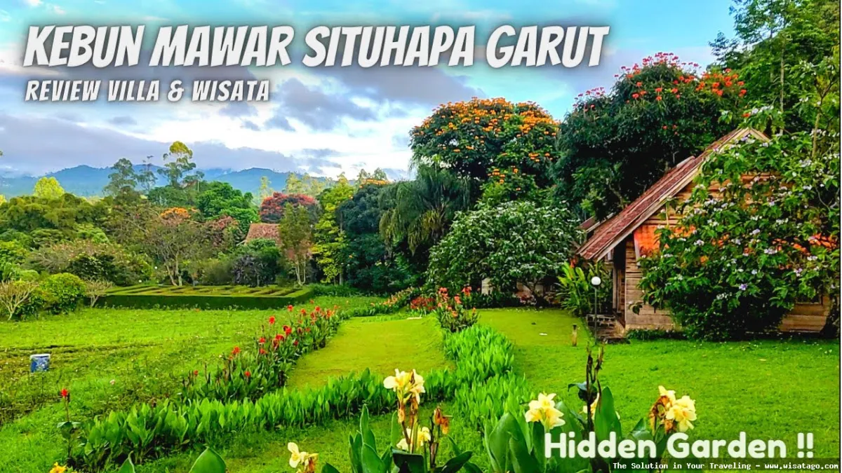 Kebun Mawar Situhapa, hamparan mawar indah