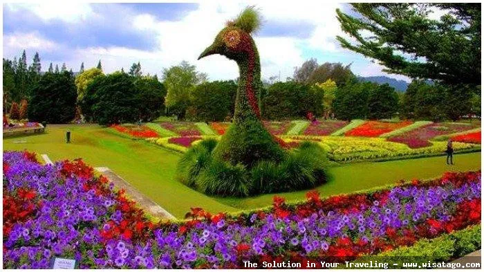 Kebun Raya Bogor yang asri hijau