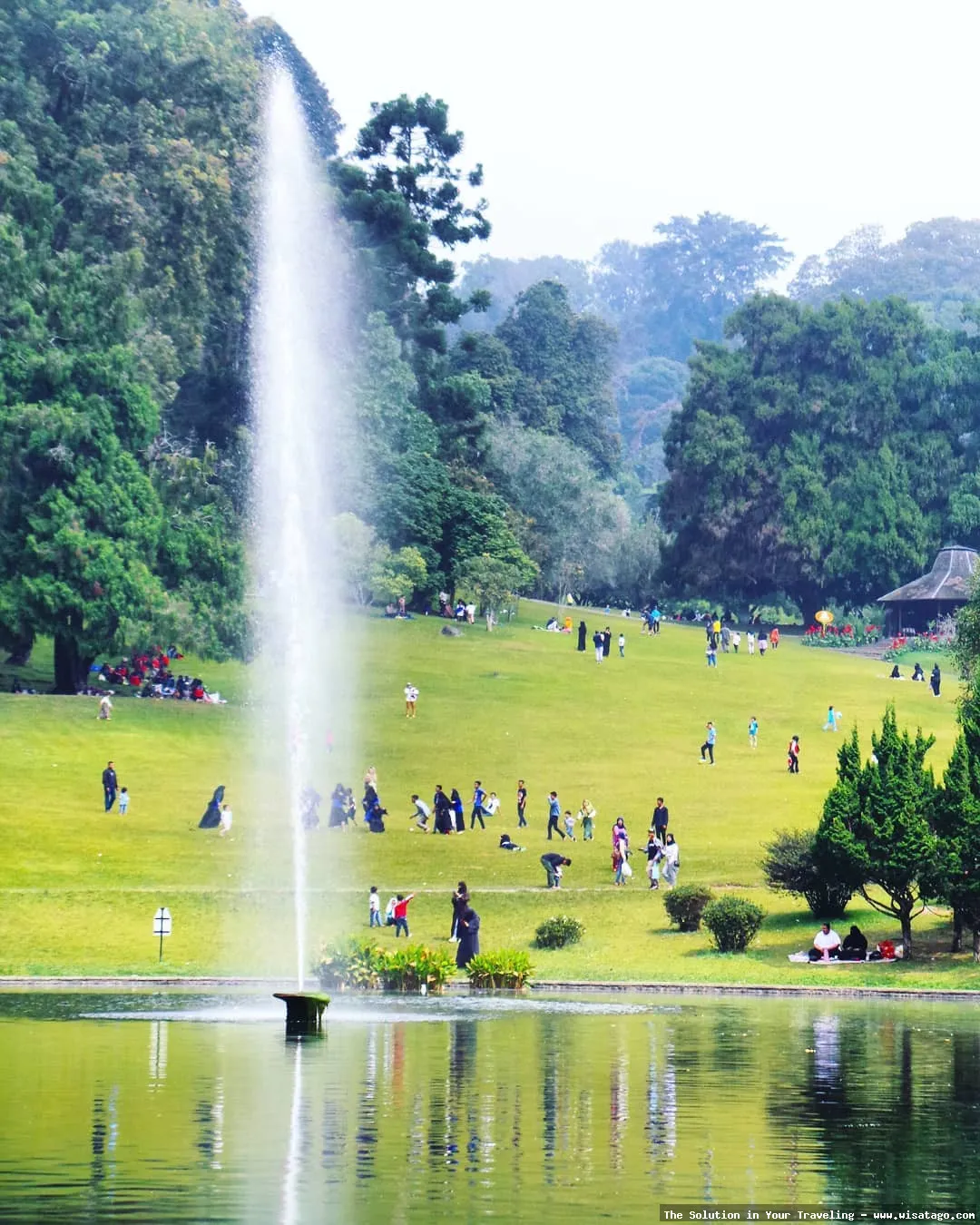 Kebun Raya Cibodas Cianjur sejuk alami