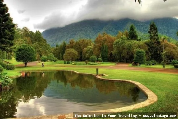 Kebun Raya Cibodas Cianjur nan asri