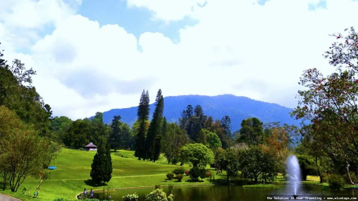Kebun Raya Cibodas Cianjur nan asri