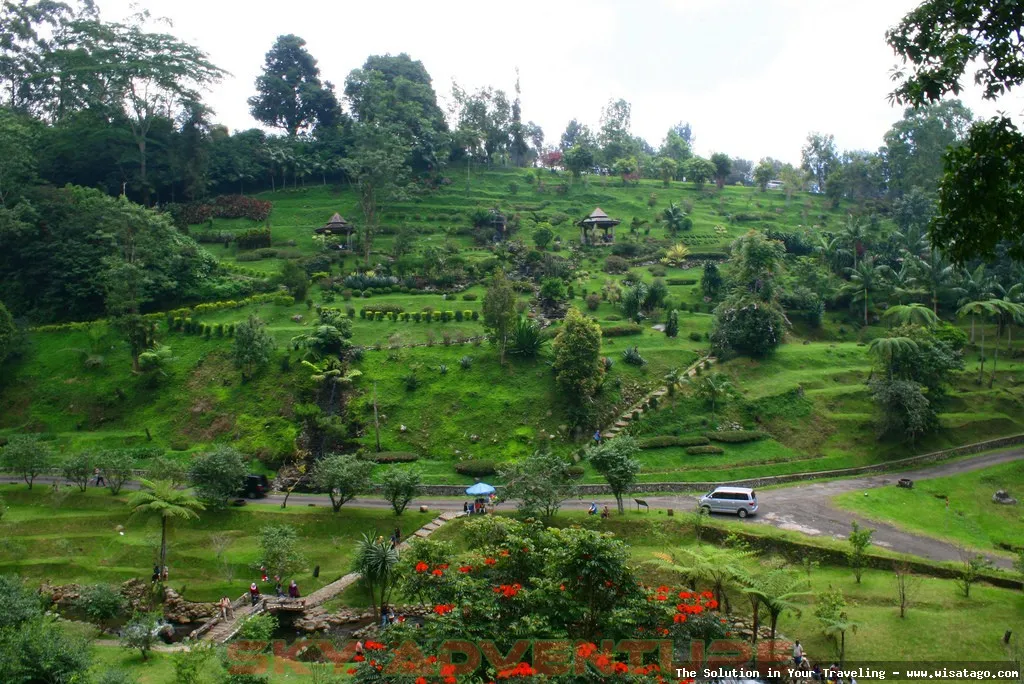 Kebun Raya Cibodas Cianjur nan asri