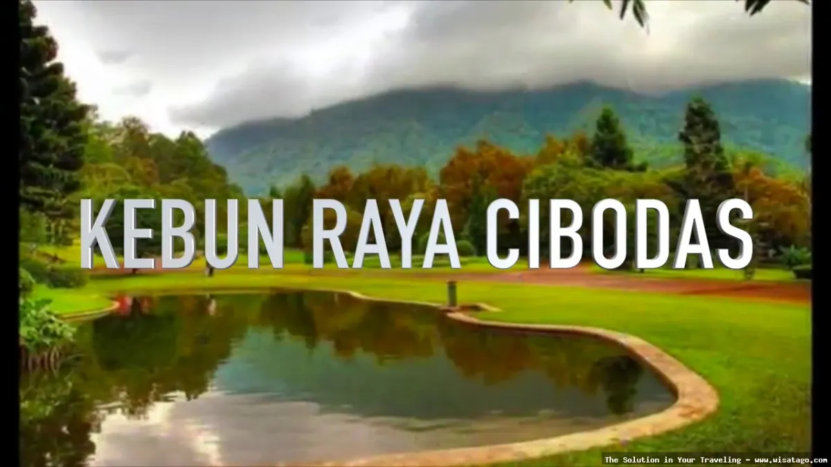 Kebun Raya Cibodas Cianjur nan asri