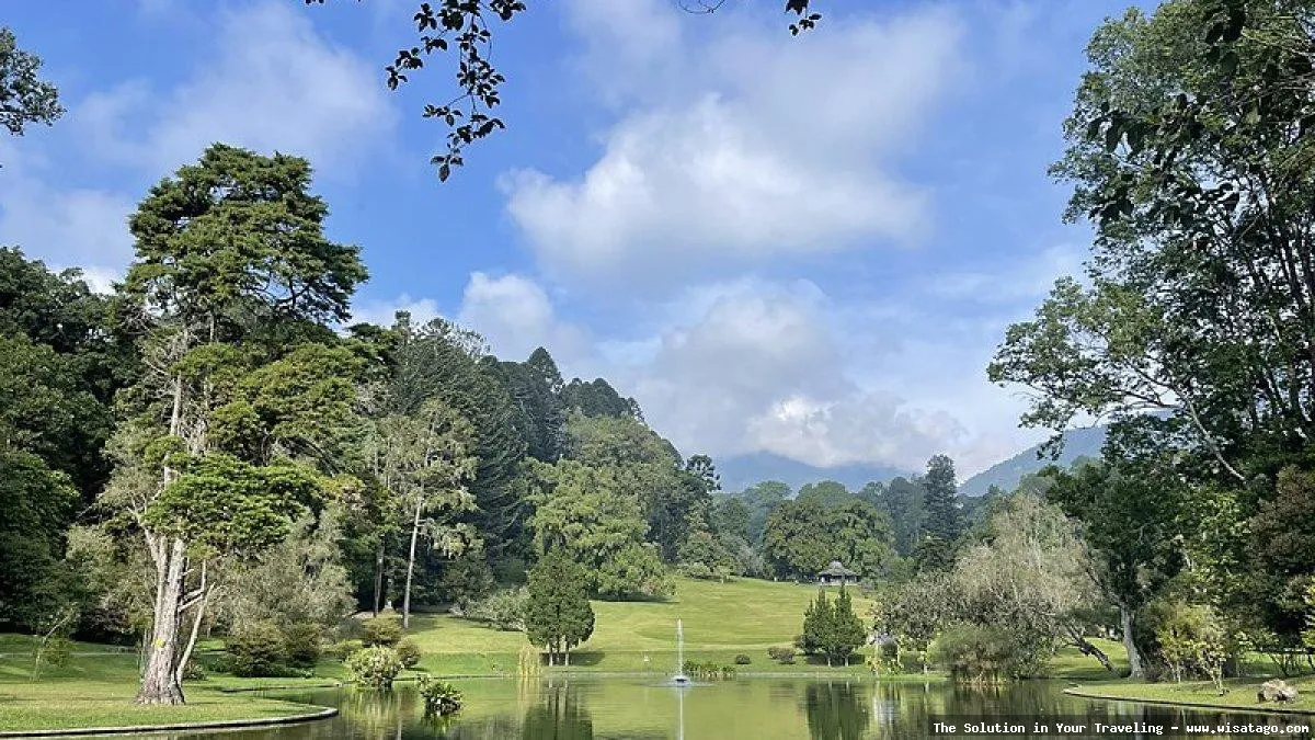 Kebun Raya Cibodas Cianjur nan hijau