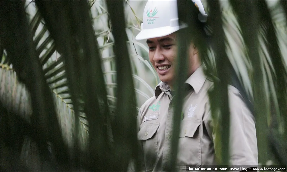 Kebun SKD Pulau Simcut yang hijau