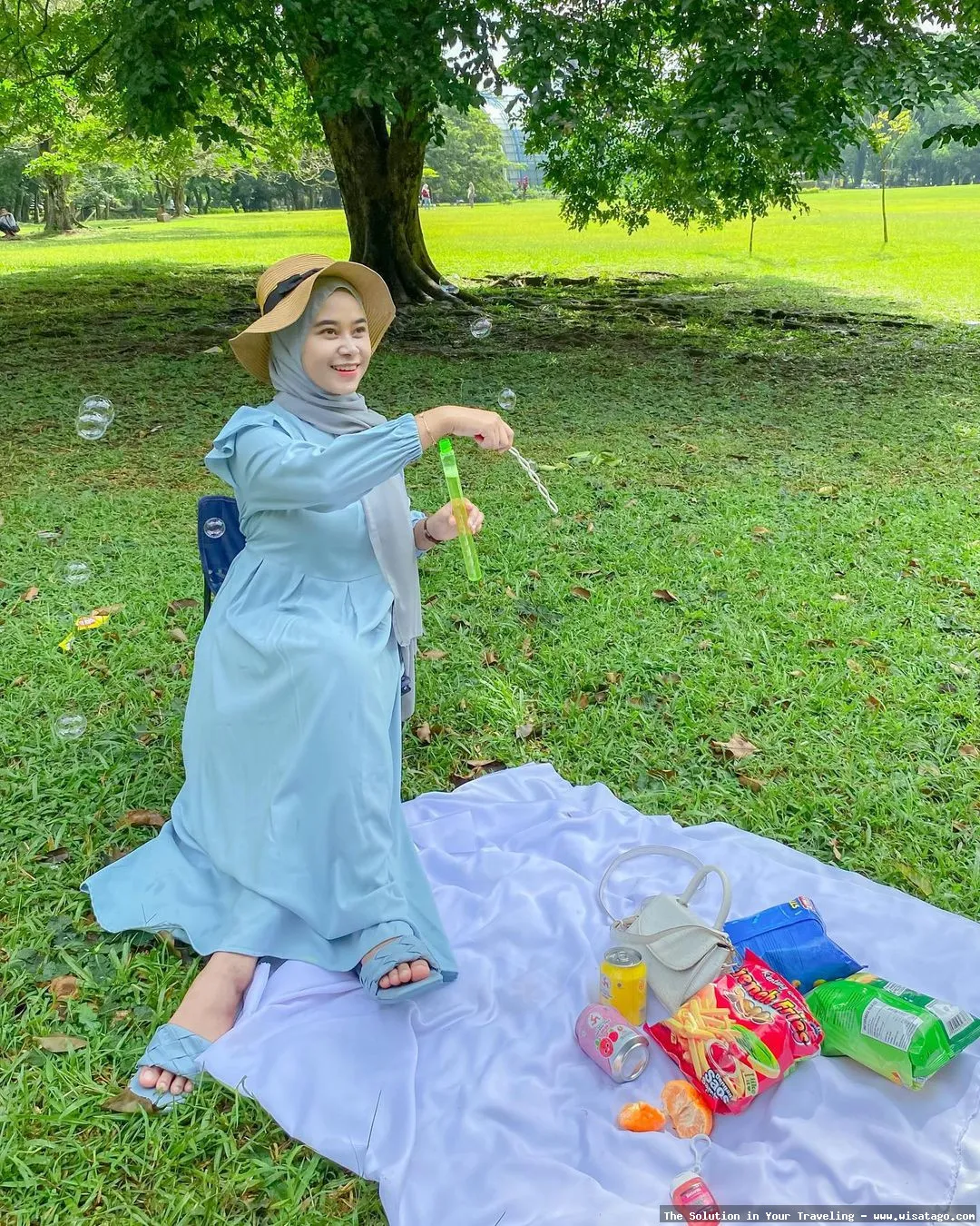 Kebun Stroberi Organis Afdeling yang segar