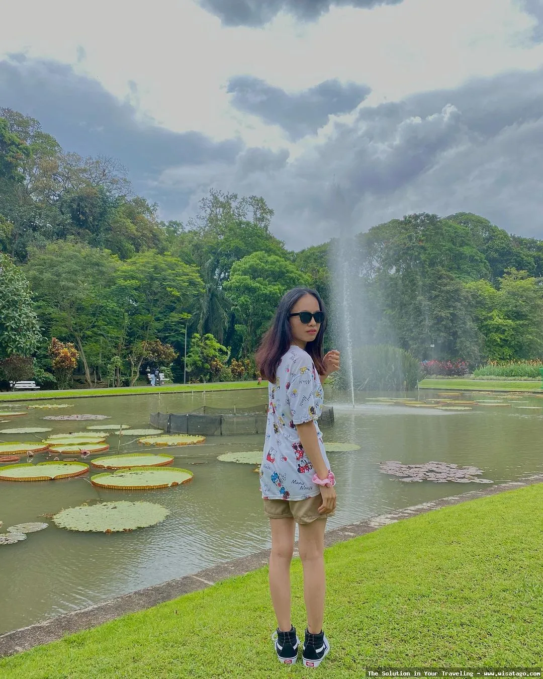 Kebun Stroberi Organis Afdeling yang segar