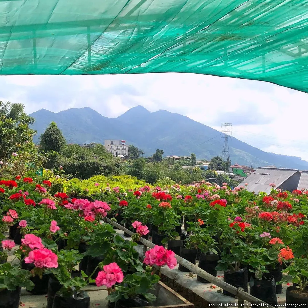 Kebun Wisata Inkarla, asri dan indah