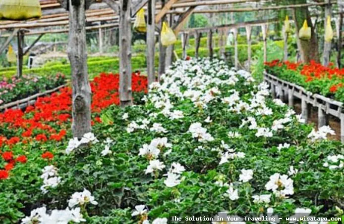 Kebun Wisata Inkarla, pemandangan indah