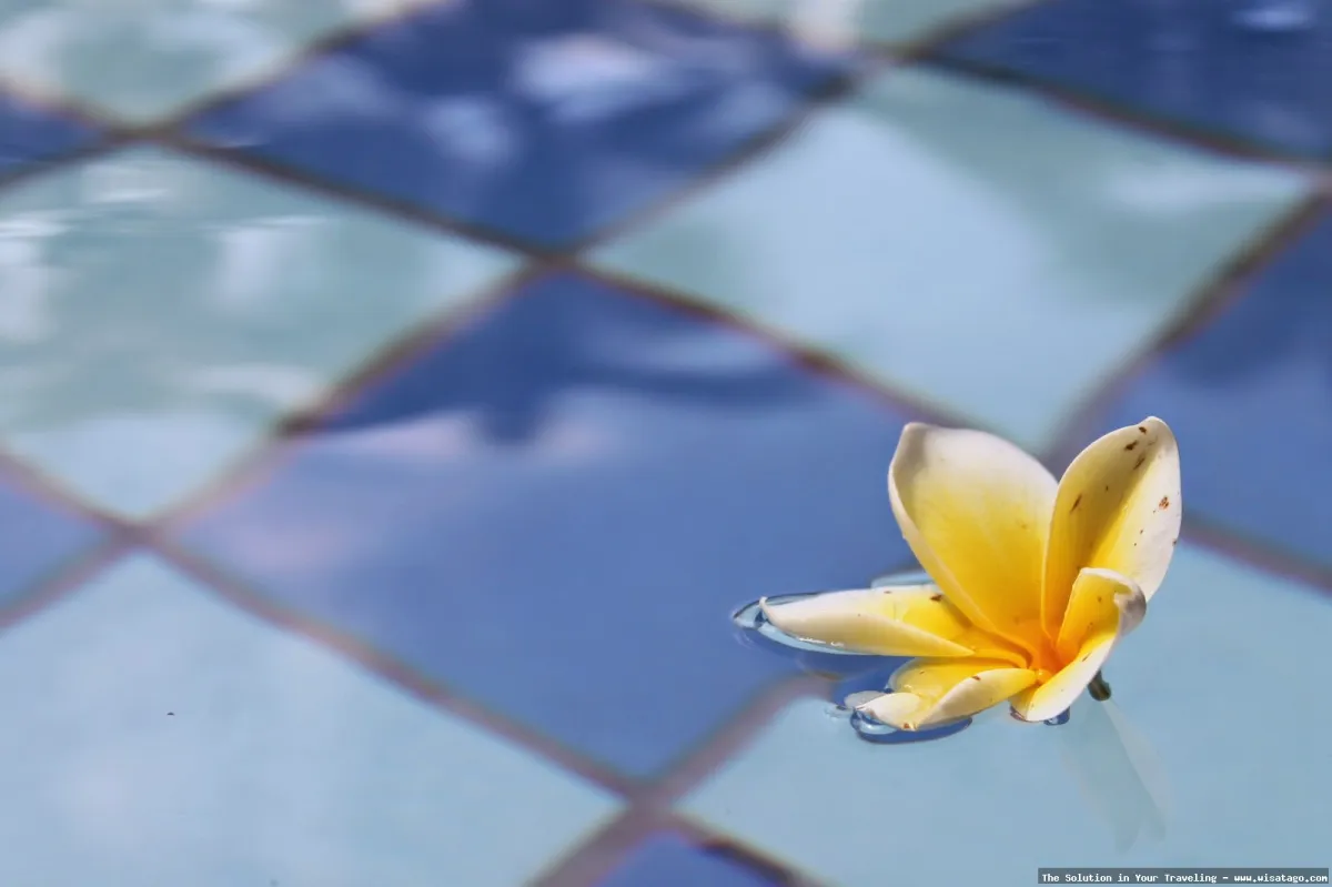 Kimo Swimming Pool, kolam renang modern