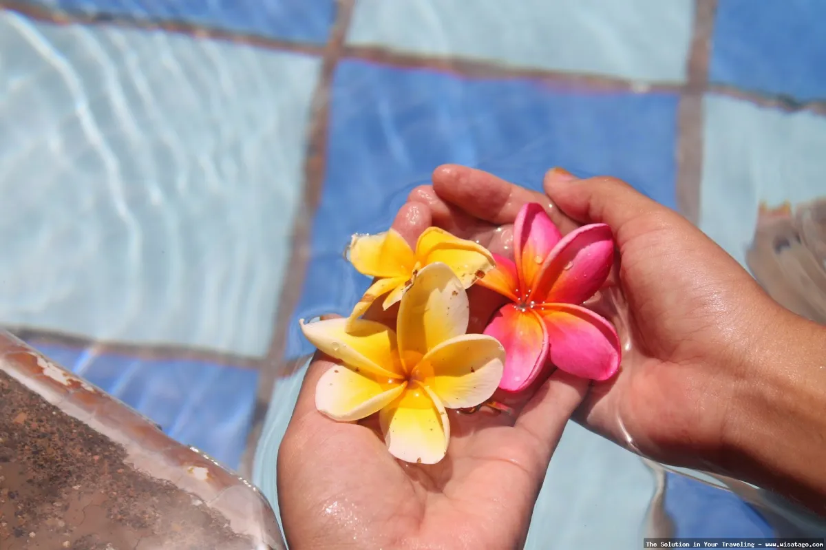 Kimo Swimming Pool yang menyegarkan