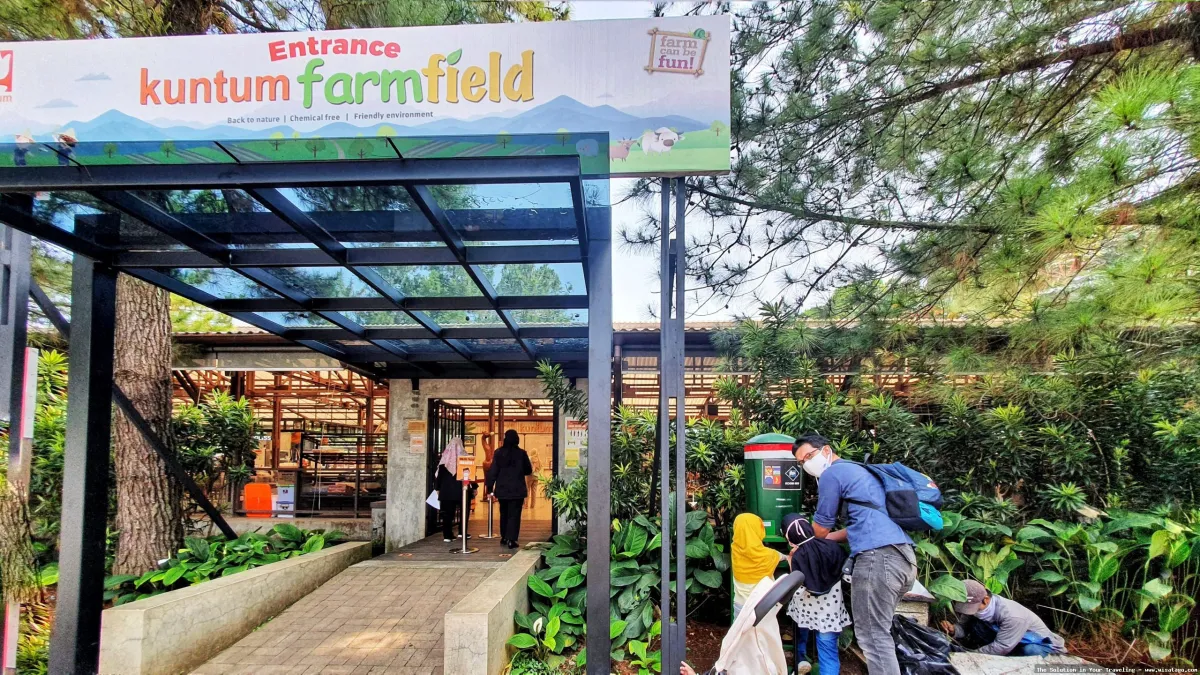 Kuntum Farmfield: Tips, Harga Tiket, Kuliner, Lokasi, Fasilitas dan Spot Kuntum Farmfield: Tips, Harga Tiket, Kuliner, Lokasi, Fasilitas dan Spot