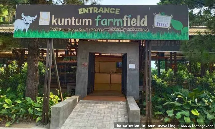 Kuntum Farmfield: wisata edukasi pertanian.