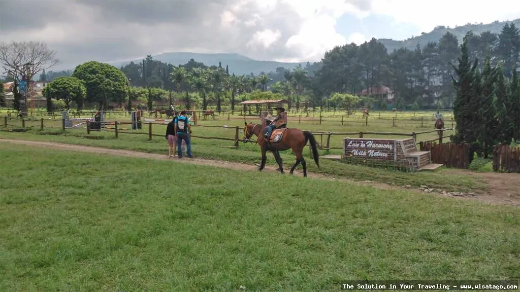 Kuntum Farmfield, wisata edukasi pertanian