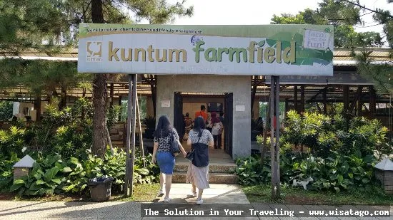 Kuntum Farmfield, suasana pedesaan asri