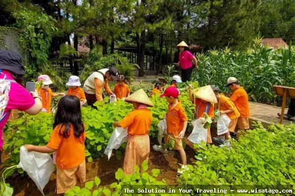 Kuntum Farmfield, suasana pertanian yang asri