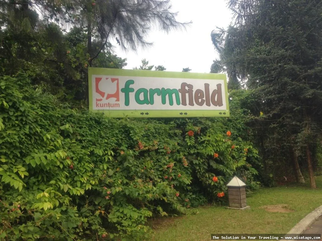 Kuntum Farmfield: suasana alami dan segar