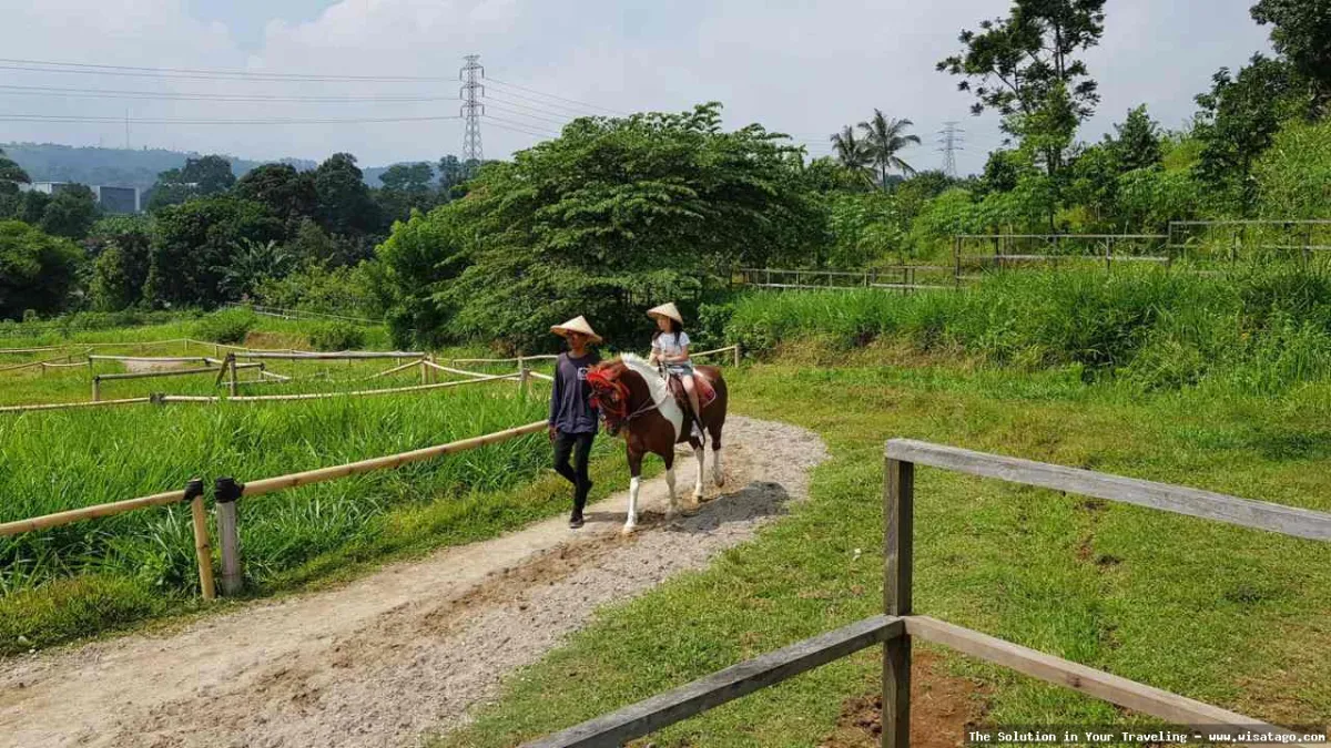 Kuntum Farmfield, suasana pedesaan alami.