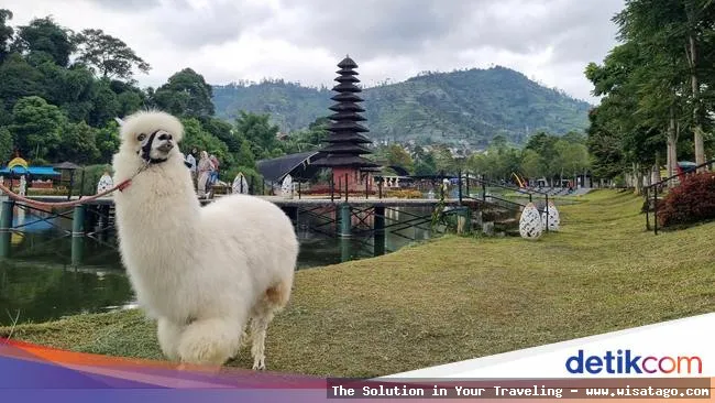 Lembah Dewata: Keindahan alam memukau