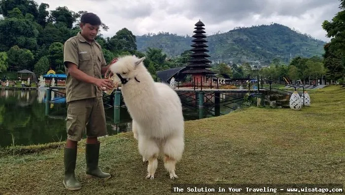 Lembah Dewata: Keindahan alam memukau
