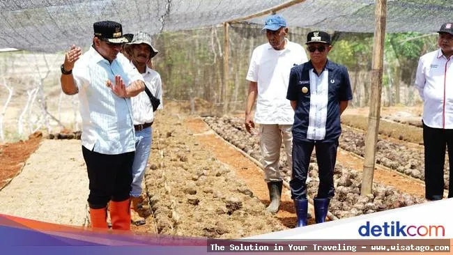 Lokasi Baharuddin, area bisnis strategis
