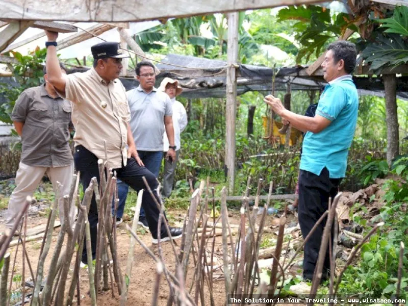 Lokasi Baharuddin, rumah makan populer