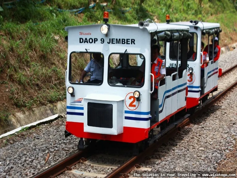 Lori Wisata Kalibaru melintasi rel.
