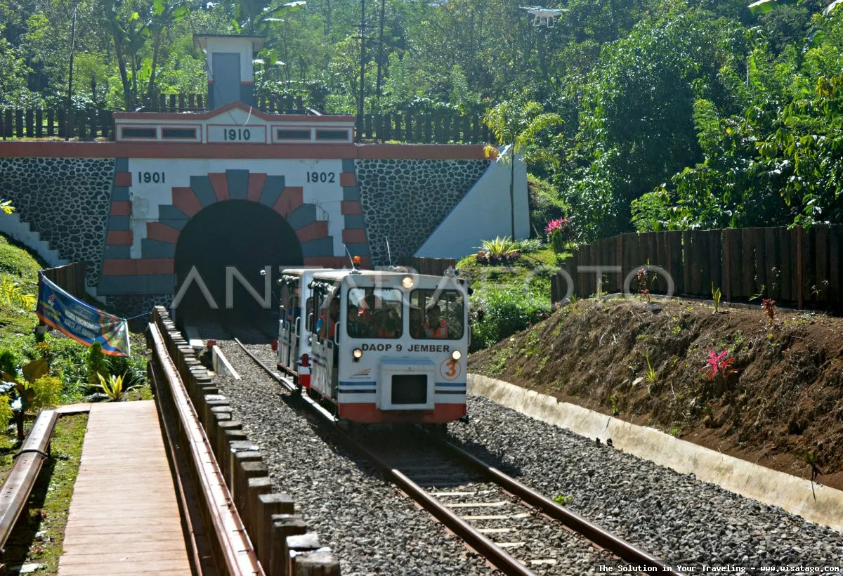 Lori Wisata Kalibaru, seru dan unik