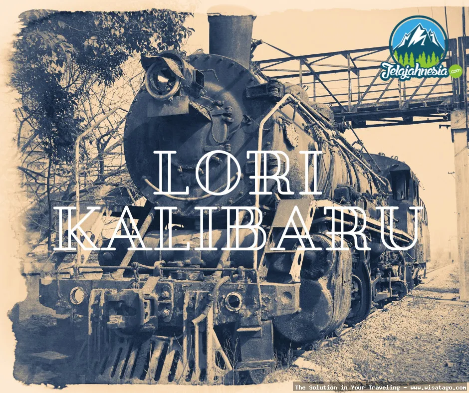 Lori Wisata Kalibaru, seru dan unik
