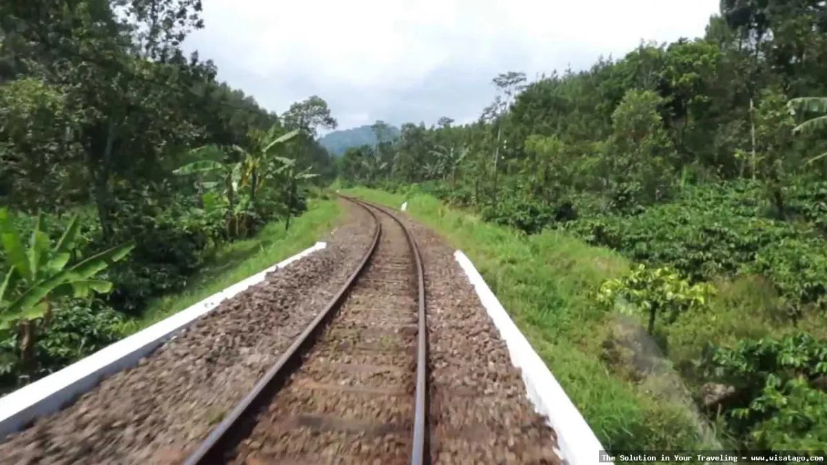 Lori Wisata Kalibaru, seru dan menyenangkan