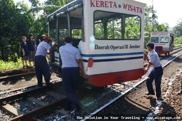 Lori Wisata Kalibaru, asyiknya berkeliling kebun