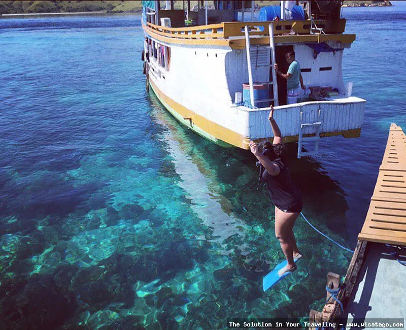 Manta Point Labuan Bajo indah memukau