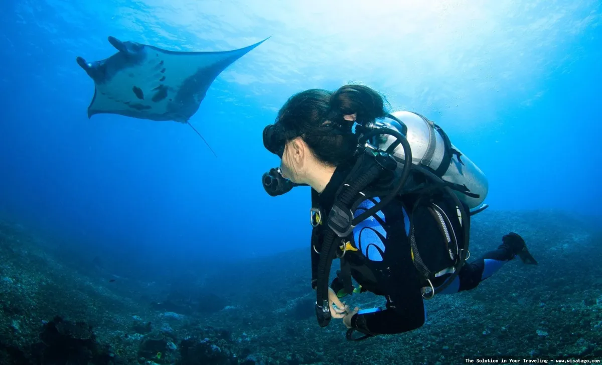 Manta Point Labuan Bajo, menyelam indah