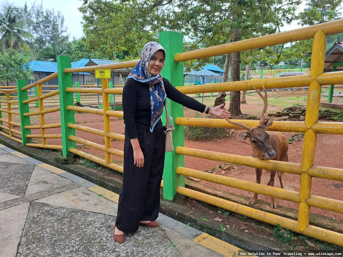 Mini Zoo Kijang, koleksi satwa menarik
