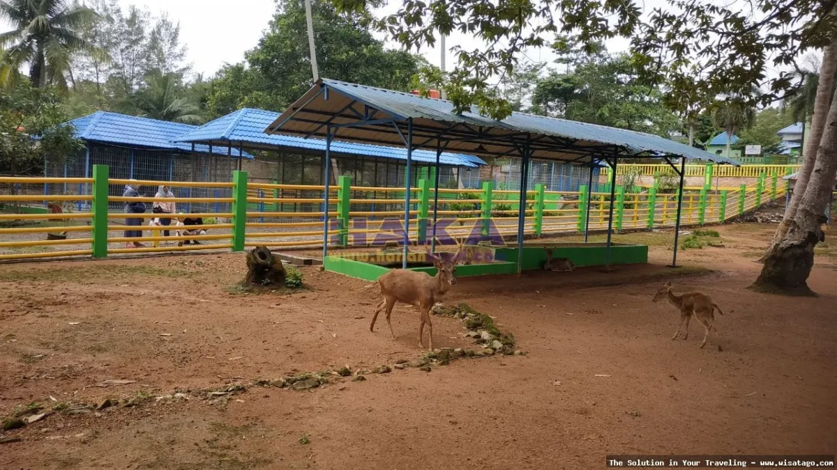 Mini Zoo Kijang, wisata edukatif keluarga